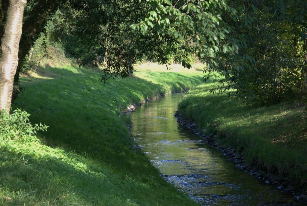 Land-Hotel Zum Schwan, Garni Weilerswist-Metternich, 3 E-Ladestationen, Naehe Phantasialand, Palmenparadies Euskirchen Buitenkant foto